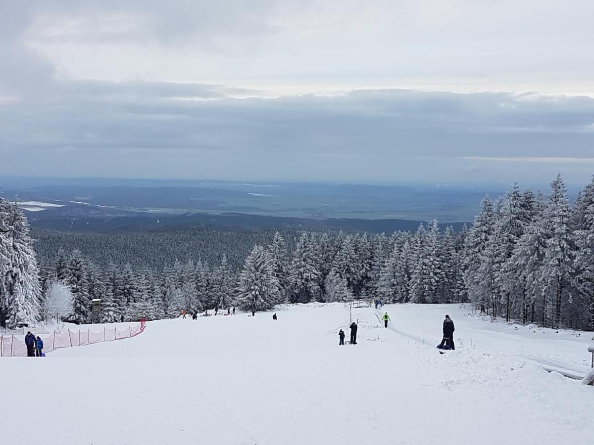Ferienwohnung Annett & Matthias Hahnenklee ゴスラー エクステリア 写真